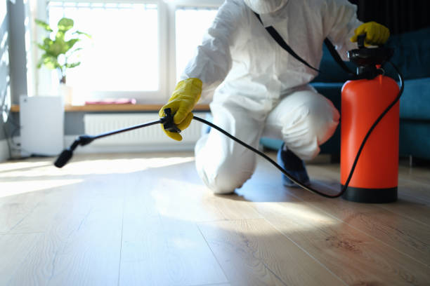 Reliable Infectious Disease Decontamination contractor in Emigrant Gap, CA by Crime Scene Cleaner Online